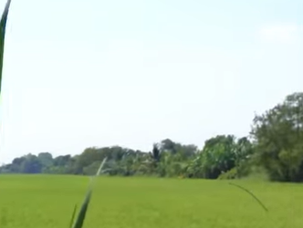 S2512021 ย่ามใจไปรึป่าว! ต่างด้าวปลอมเป็นตำรวจ เพราะคิดว่าตำรวจฉลาดน้อยกว่าตัวเอง 1265575834701278 part2