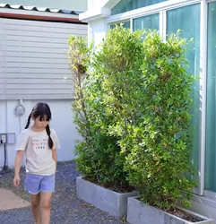 B2912042 ลูกคนใช้ไม่มีสิทธิ์ อย่าเสนอหน้ามาถ่ายเซลฟี่กับลูกเศรษฐีอย่างฉัน 939137007574339 part2