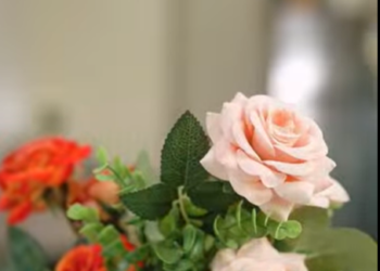 N1301033 ญาติบ้านนอก 3646974728873051 part2